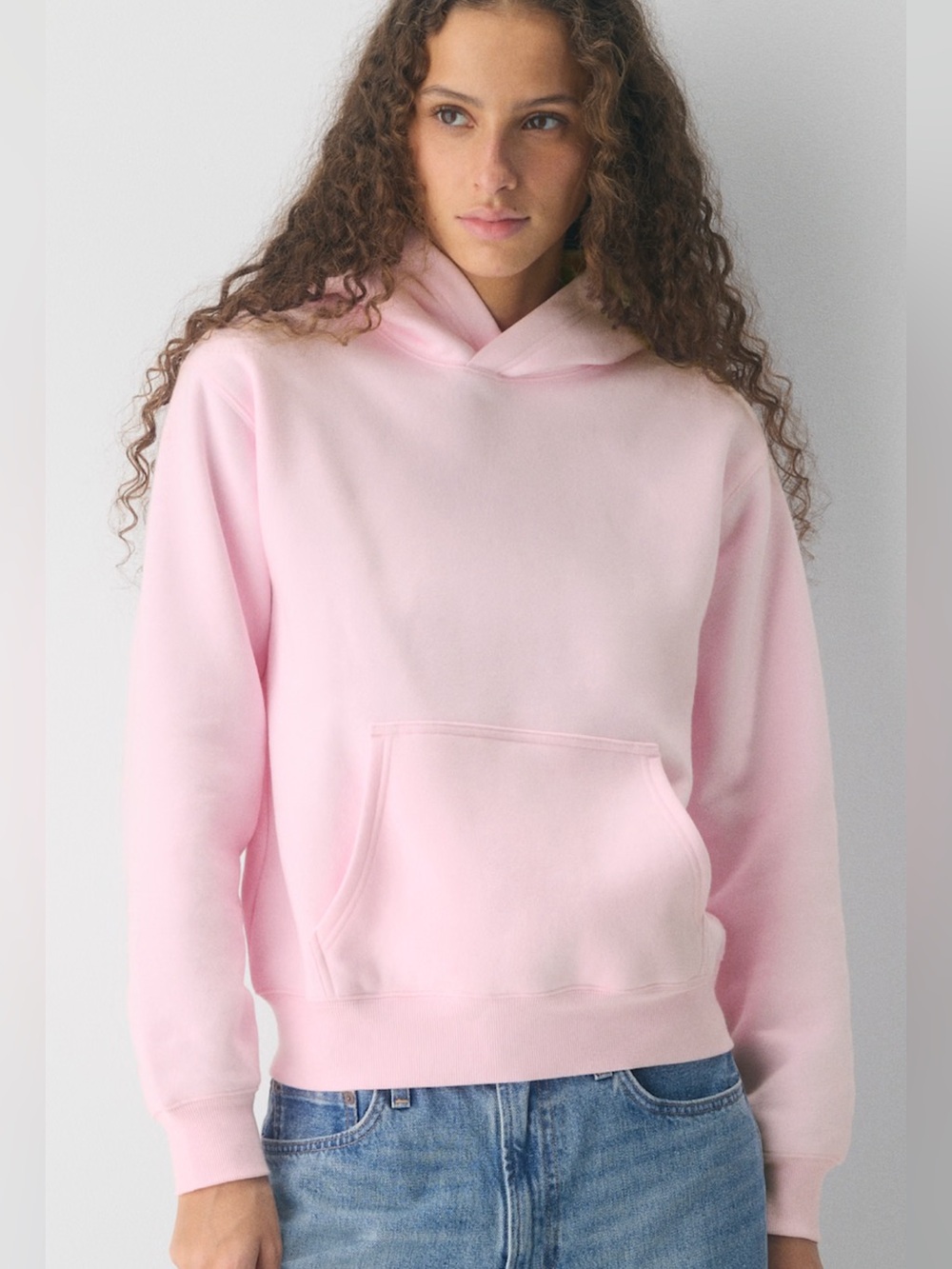 Aritzia PANTS AND HOODIE